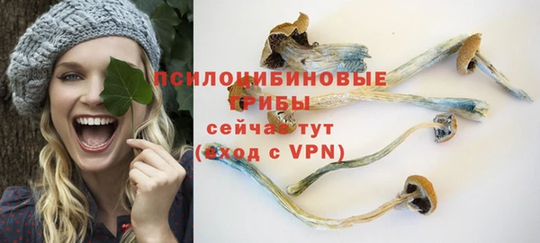 сатива Куйбышев