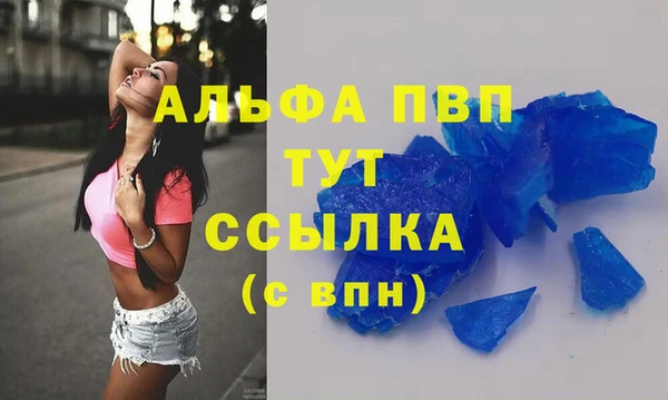 сатива Куйбышев