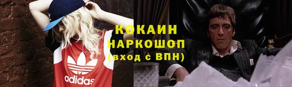 сатива Куйбышев