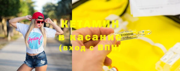 сатива Куйбышев