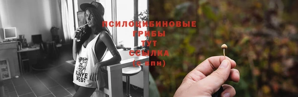 сатива Куйбышев