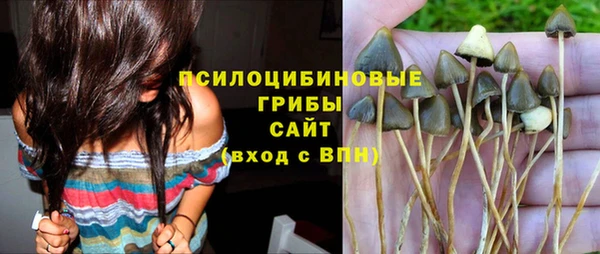 сатива Куйбышев