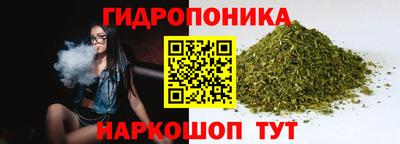 spice Заводоуковск