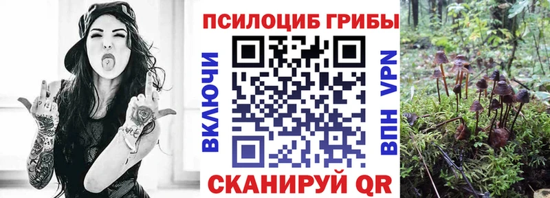 Галлюциногенные грибы Magic Shrooms  ссылка на мегу зеркало  Псков 