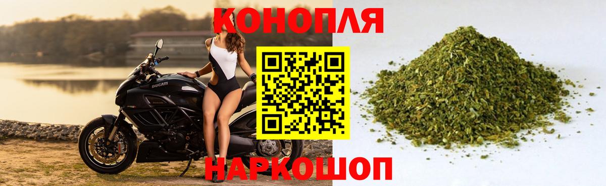 Бошки Шишки семена Псков